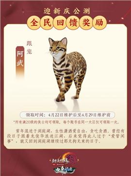天神手天龙八部私服